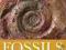 FOSSILS (DK HANDBOOKS) David Ward