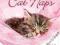 CAT NAPS 2015 WALL CALENDAR (SQUARE WIRESTITCHED)