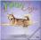 YOGA DOGS 2015 WALL CALENDAR