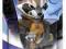 ROCKET RACOON - FIGURKA - Disney Infinity 2.0 -