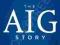 THE AIG STORY: + WEBSITE Greenberg, Cunningham