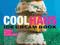 COOLHAUS ICE CREAM BOOK Natasha Case