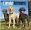 LABRADOR RETRIEVERS 2015 WALL