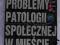 Problemy patologii społecznej w mieście - Wódź