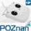 DJI PHANTOM2 RADIO 2,4 GHz + LiPo-SKLEP POZNAŃ