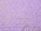 materiał Minky LILAC