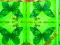 Serwetki do decoupage NR 572 - 1szt.-MOTYL