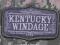 MIL-SPEC MONKEY - Morale Patch - KENTUCKY WINDAGE