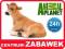 Figurka Animal Planet - Cielę rasy Jersey leżące