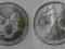 USA Srebro (1Oz) 1 Dollar 1995 r. Eagle od 1zł BCM