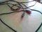 Kabel 2xCinch Kabel 2xCinch