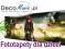 Fototapety tapety dla dzieci Disney 1419 Piraci