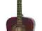 Epiphone PRO-1 Acoustic Wine Red WR SklepGram