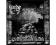 Freezing Blood/Widmo/The Sons of Perdition - DesCD
