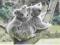 Japonia -  koala