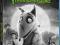 Frankenweenie Tim Burton DISNEY BLU-RAY PL DUBBING