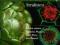 Biologia komórki roślinnej tom 1 Struktura PWN