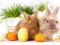 Wielkanoc,oferta dla rodzin (agroturystyka)