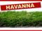 Sztuczna trawa Havanna 35mm 400cm ! ogród !