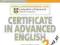 CAMBRIDGE CERTIFICATE IN ADVANCED ENGLISH 2