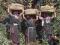TUNEZJA - CAP BON - KOBIETA - FOLKLOR - STROJE
