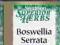 SWANSON Boswellia Serrata extract 120 kaps