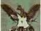 Katalog orły,odznaki pułkowe dokumenty orłów