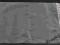 Woreczki Strunowe 100szt/op. 220mm x 2; ZABRZE; FV