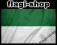 Flaga Klubu Ekstraklasa zielono biała barwy Lechia