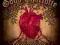 GOOD CHARLOTTE- CARDIOLOGY,nowa