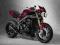 Rama Triumph Speed Triple 1050 05-09