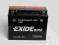 EXIDE BIKE MF AGM YTX24HL-BS 12V 21AH Sosnowiec