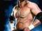 WWE - Triple H glance - plakat 61x91,5 cm