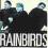 Rainbirds - Blueprint - SINGIEL