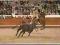 pocztówka BYK  PIKADOR NA KONIU Corrida PORTUGALIA