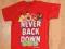 237M* Angry Birds czerwony t-shirt 12-13 L 158 cm