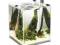 Aquael SHRIMP SET SMART 30L BLACK Krewetkarium