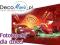 Fototapety CN 752 Disney Auta Cars Neon City XL