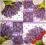 Serwetki do decoupage-2szt-KWIATY - NR 294