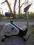 ROWER KETTLER ERGOMETER FX1 DO 150KG.