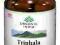 TRIPHALA ORGANIC INDIA-100 % BIO-ZIOŁO ORGANICZNE!