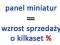 panel miniatur aukcji - SUPER EFEKTY | AUTOMAT