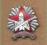 Odznaka Pogranicznika - Węgry