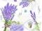 Serwetki deserowe 33x33cm Zioła Lavender 20 sztuk