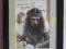 John Mayall z autografem - autograf w ramie