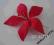 QUALITY SZPILKA ozdoba do WŁOSÓW koki ŚLUB czerwon