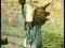 Jeruzalem. Męzczyzna, tragarz wody. Water carrier.