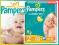 PAMPERS NEW BABY DRY 2 MINI 3-6kg 80 szt MAXI PACK