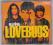 LOVEBUGS - Marilyn LOVEBUGS - Marilyn