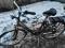 (14) Rower Holenderski GAZELLE